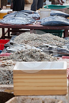 Selling fish, the outdoor fish market.