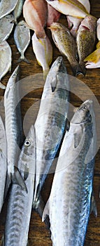 Selling fish at a street market. Vertical photo