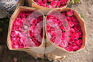 Selling flowers - A bouquet of red / pink roses wrapped in paper