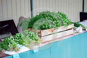Selling fresh herbs in a market. Parsley, dill and green onion  in a box outdoors in a greenery shop. Farming and small green