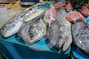 Selling fresh seafood fish on the tourist attraction local market in Jimbaran, Bali Island. Fresh fish for sale. Dorado dolphin