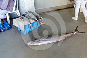 Selling fresh tunas on the market in Asia