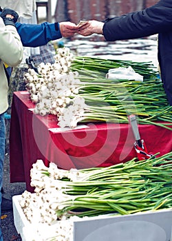 Selling garlic