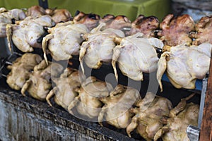 Selling grilled/roasted chicken at the fresh market