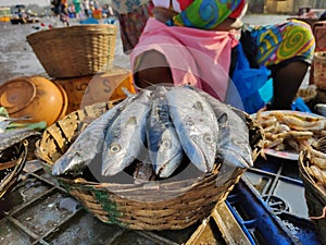 Selling King Fish at a fish market in India.  Morning catch.  The freshest fish