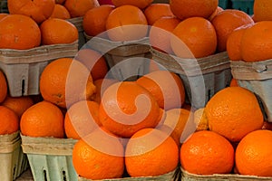 Selling Navel Oranges