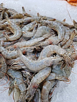 Selling raw shrimp in a supermarket. Fresh raw shrimps at the fish marke