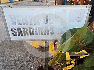 Selling sardines for one dollar sign in La Guancha in Ponce, Puerto Rico photo