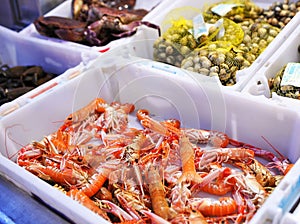 Selling shellfish at the fishmonger market, Spain