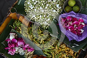 Selling various colorful flowers on the street market