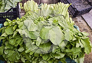 Selling vegetables in a market