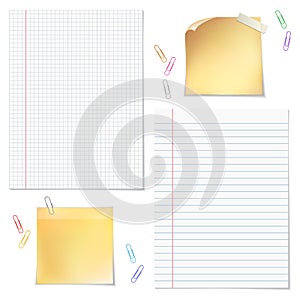 Sells and strips notebook paper with paper clips on white background.