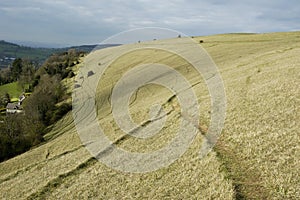 Selsley Common