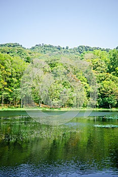 Selva Negra in Matagalpa, lake and trees in the central mountain area of Nicaragua photo