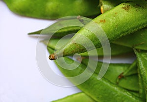 Sem ki phali on white background