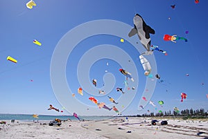 Semaphore Kite Festival
