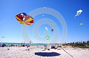 Semaphore Kite Festival