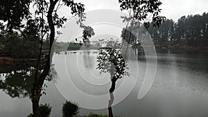 Sembuwatta Lake, Elkaduwa estate, Sri Lanka photo
