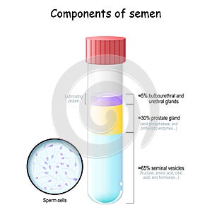 Semen components. Test tube with sperm cells