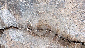 Semen with crack background texture