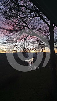 SEMENEC OBSERVATION TOWER view sunset