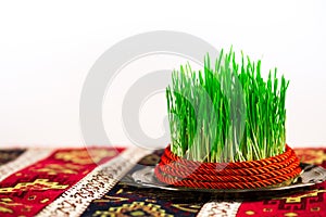 Semeni on vintage plate, decorated with red cord on national style table cloth