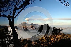 Semeru volcano photo