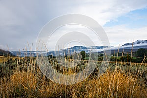 Semi-Arid Grassy and Sagebrush Highland Landscape photo
