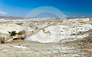Semi-arid landscape