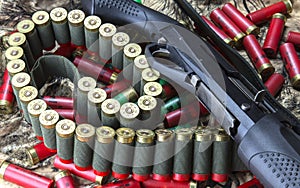 Semi-auto shotgun, 12 caliber shotgun cartridges in bandolier and stock of red and green cartridges on camouflage background
