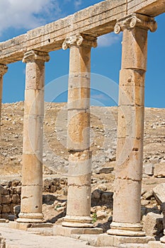 Semi-circle of columns forming a plaza at Jerash. photo