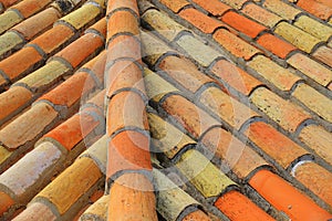 Semi circular terracotta roof tiles