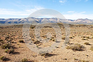 Semi-desert region with mountains and blue sky