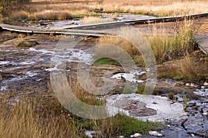 Semi dry pond with walking trail.