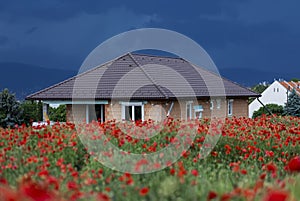 Semi-finished, half-finished house with red poppy field