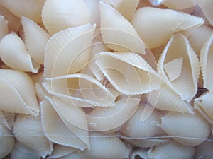 semi-finished small pasta in the form of shells in plastic packaging