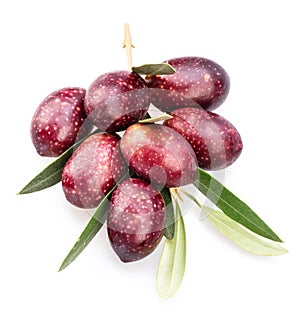 Semi-ripe olive berries on olive twig on white background