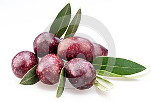 Semi-ripe olive berries on olive twig on white background