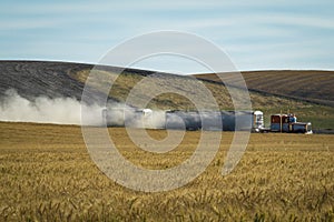 Semi trailer truck, wheat fields