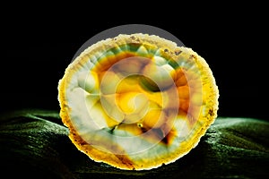 Semi-translucent slice of agate quartz silica gem