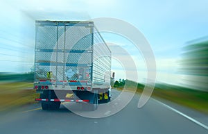 Semi truck cruising down the highway
