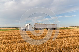 Semi truck with a load grain