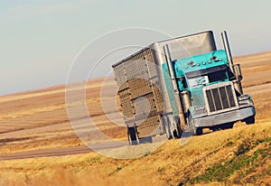 Semi Truck on Prairie Road