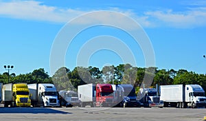 Semi Trucks/Big Rigs