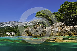 Semi underwater photography