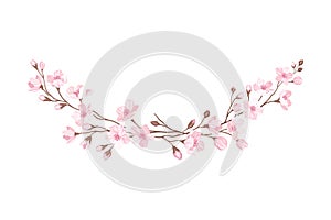 Semicircle Border Arranged of Twigs of Sakura or Cherry Blossom Vector Illustration