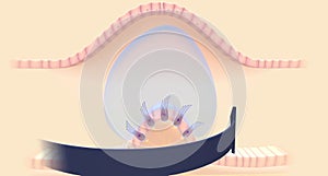 The semicircular canals have a dilated portion, or ampulla, that connects to the utricle