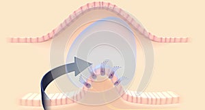 The semicircular canals have a dilated portion, or ampulla, that connects to the utricle