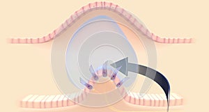 The semicircular canals have a dilated portion, or ampulla, that connects to the utricle