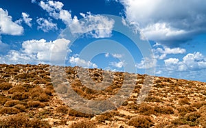 Semidesert and sky with clouds